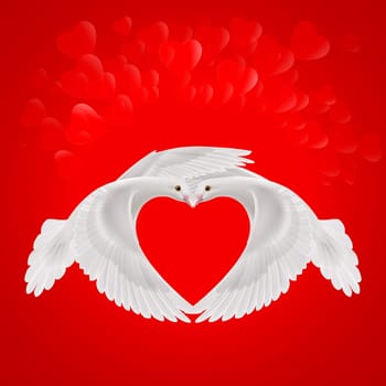 Two white doves makes the shape of the wings of the red heart
