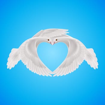 Two white doves makes form the shape of the heart