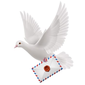White pigeon fly with mail in beak