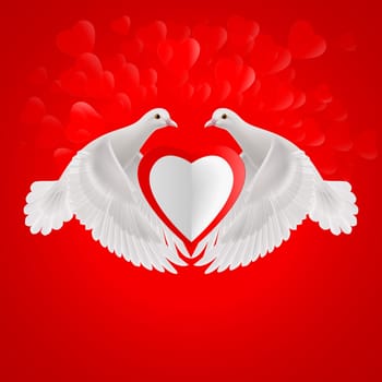 Two white doves holds white heart in wings