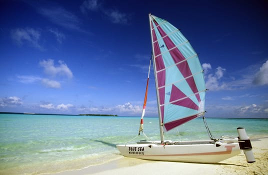 .The dream beach with palm trees and white sand on the island of Velavaru in the Southmale Atoll on the islands of the Maldives in the Indian Ocean.