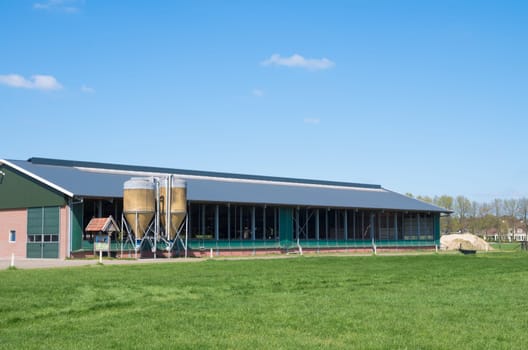 livestock barn in the netherlands