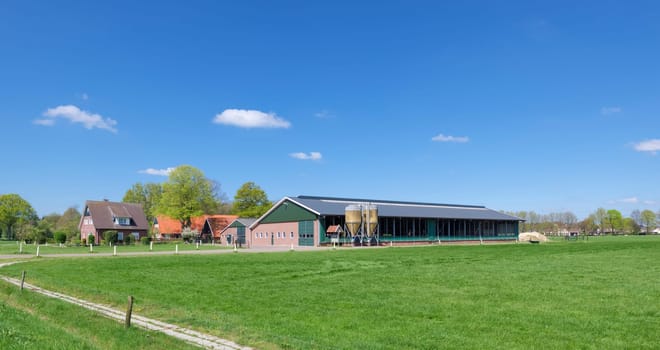 typically dutch farmhouse with large livestock barn