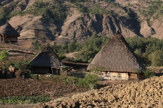 The mountain landscape at the mountain village of Maubisse south of Dili in East Timor on the two separate island of Timor in Asia.