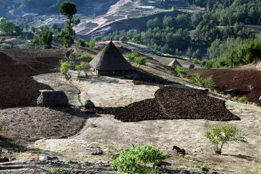 The mountain landscape at the mountain village of Maubisse south of Dili in East Timor on the two separate island of Timor in Asia.