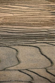 Dry rice fields near Loihuno in Zental East Timor on the two separate island of Timor in Asia.