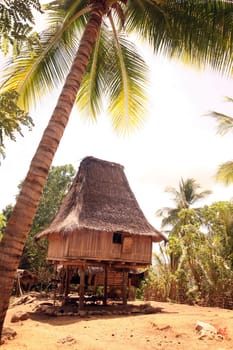Asia,South East Asia,East Timor,Timor-Leste,Timor,East Coast,Raca,House,Tradition,Architecture, A traditional farmhouse near Raca in east Of East Timor in South East Asia.       (Urs Flueeler)