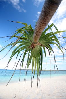 Asia,South East Asia,East Timor,Timor-Leste,Timor,East Coast,Tutuala,Island. Jaco Island,Beach,Landscape The dream beach on the island of Jaco Island in east Of East Timor in South East Asia.       (Urs Flueeler)