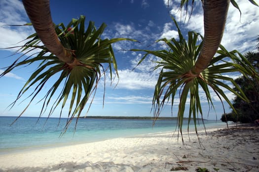The beach landscape on Jaco Island in the background in the most easterly point on the Timor Sea in East Timor on the two separate island of Timor in Asia.