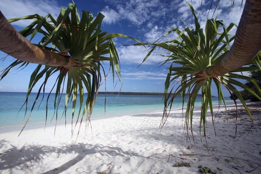 Asia,South East Asia,East Timor,Timor-Leste,Timor,East Coast,Tutuala,Island. Jaco Island,Beach,Landscape The dream beach on the island of Jaco Island in east Of East Timor in South East Asia.       (Urs Flueeler)