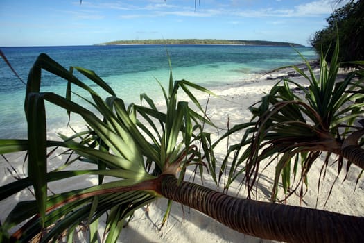 The beach landscape on Jaco Island in the background in the most easterly point on the Timor Sea in East Timor on the two separate island of Timor in Asia.
