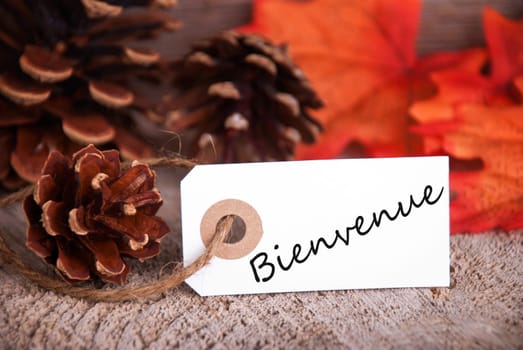 The French Word Bienvenue, which means Welcome, written on a label as Fall Background