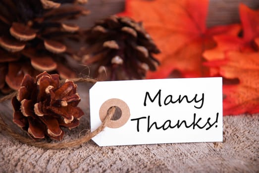 Many Thanks on a Label and Colorful Leaves and Fir Cones