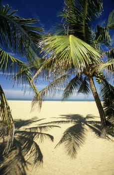 Asia,Indian Ocean,Sri Lanka,. A dream beach at the Kuestendorf Hikkaduwa on the south-west coast of Sri Lanka. (URS FLUEELER).......