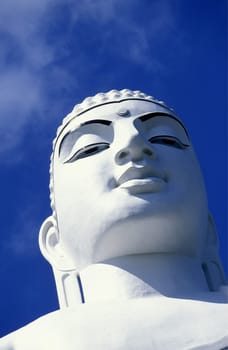 Asia,Indian Ocean,Sri Lanka,. The Great Buddha Statue of Kandy in the Central Gebierge of Sri Lanka. (URS FLUEELER).......