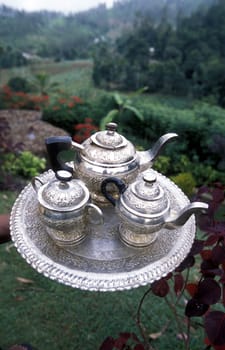 Asia,Indian Ocean,Sri Lanka,. A tea jug at a hotel in the tea growing area of Nuwara Eliya in Central Gebierge of Sri Lanka. (URS FLUEELER).......