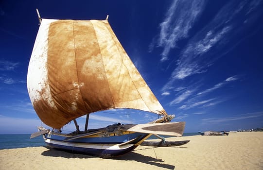 Traditional sail fishing boats at Negombo in the west of the island of Sri Lanka in the Indian Ocean.