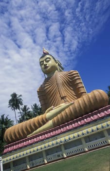 Asia,Indian Ocean,Sri Lanka,. A tGold-like Buddha at the Kuestendorf Matara on the South Coast of Sri Lanka. (URS FLUEELER).......