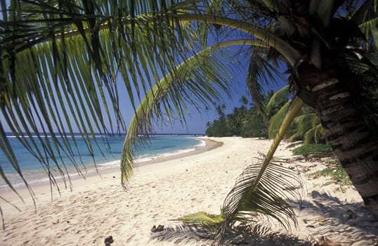Asia,Indian Ocean,Sri Lanka,. A dream beach at the Kuestendorf Hikkaduwa on the south-west coast of Sri Lanka. (URS FLUEELER).......