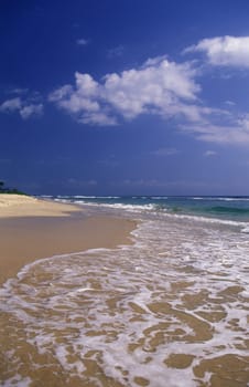 Asia,Indian Ocean,Sri Lanka,. A dream beach at the Kuestendorf Hikkaduwa on the south-west coast of Sri Lanka. (URS FLUEELER).......