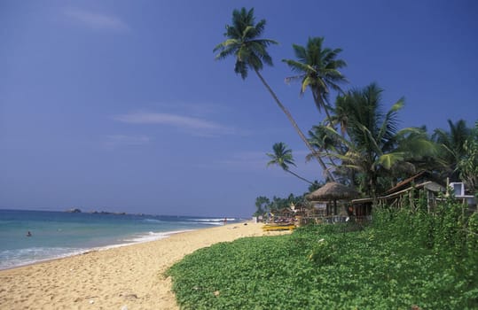 Asia,Indian Ocean,Sri Lanka,. A traditional New Year's celebration with a parade in the Kuestendorf Hikkaduwa on the south-western coast of Sri Lanka. (URS FLUEELER).......