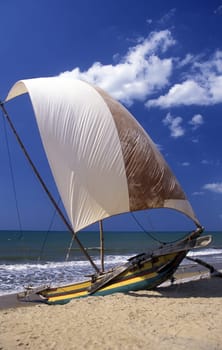A beach with a sailboat in Negombo in the west of Sri Lanka in Asia.