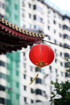 Everyday life on the streets in Chinatown and Old Town of Singapore in the island state of Singapore in Asia.