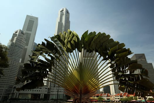 Asia,South East,Singapore,Island,State,City,City,Skyline,Center,Boat Quay,Financial District,Raffles Square