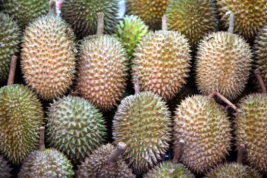 Durian Fruechte in Chinatown and Old Town of Singapore in the island state of Singapore in Asia.