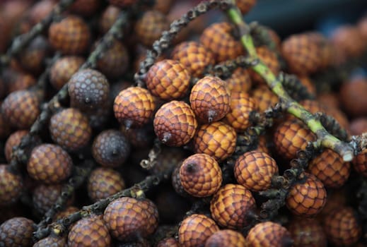 A selection of gemuese,fruits and whirkers at the market in the center of the capital Bandar Seri Begawan in the kingdom of Brunei Darussalam on Borneo in South East Asia