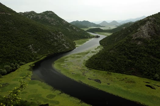 Europe,Eastern Europe,Balkans. Montenegro,Skadar,Lake,Landscape,Rijeka Crnojevica,Nature