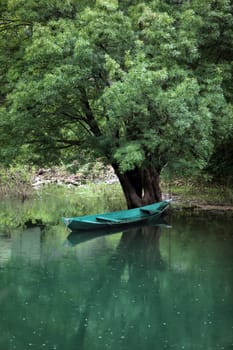 Europe,Eastern Europe,Balkans. Montenegro,Skadar,Lake,Landscape,Rijeka Crnojevica,Nature