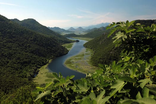 The landscape with the shore of Skadar Lake or Skadarsko Jezero near Rijeka Crnojevica in Montenegro in Europe.