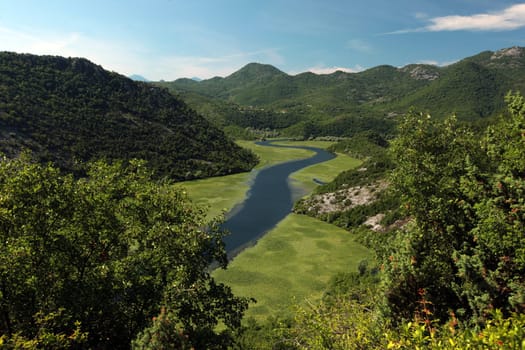 The landscape with the shore of Skadar Lake or Skadarsko Jezero near Rijeka Crnojevica in Montenegro in Europe.