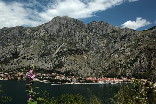 Europe,Eastern Europe,Balkans. Montenegro,Mediterranean Sea,Adriatic Sea,Kotor,Bay of Kotor,Bay,Old Town,Village