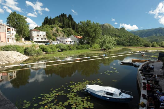 The village of Vripazar on Lake Skadar in Montenegro in the Balkans in Europe.