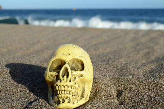 Human Skull on the Sand Beach near Ocean
