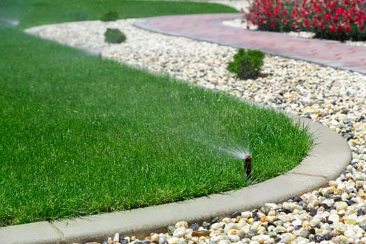 Automatic sprinkler watering grass