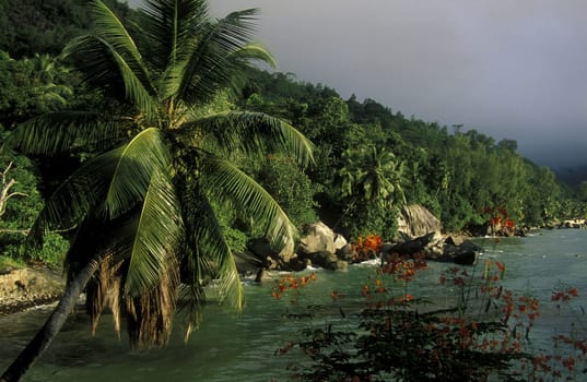 The landscape on the island of Mahe in the Seychelles in the Indian Ocean.