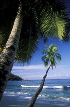 A dream beach on the island of La Digue in the Seychelles in the Indian Ocean.