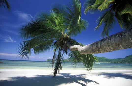 A dream beach on the island of Praslin in the Seychelles in the Indian Ocean.