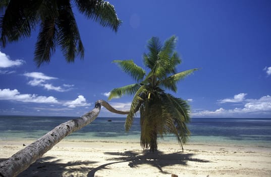 A dream beach on the island of La Digue in the Seychelles archipelago in the Indian Ocean in Africa.