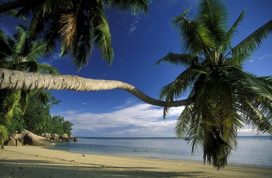 A dream beach on the island of La Digue in the Seychelles archipelago in the Indian Ocean in Africa.