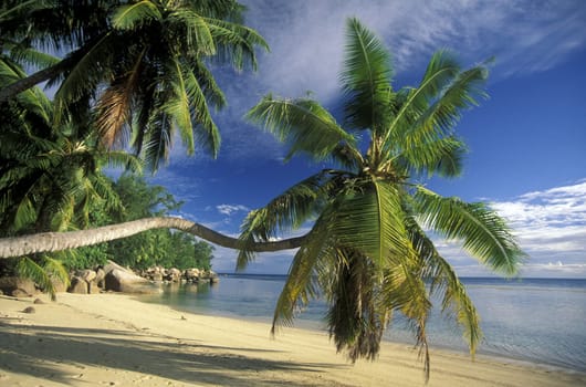 A dream beach on the island of La Digue in the Seychelles archipelago in the Indian Ocean in Africa.
