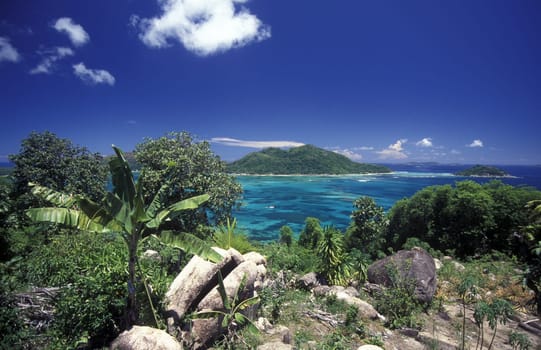 The landscape near Victoria on the island of Mahe of the Seychelles archipelago in the Indian Ocean in Africa.