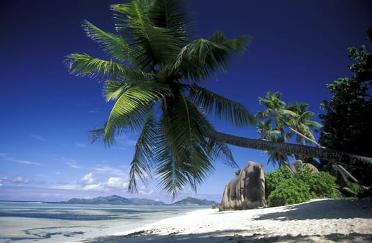 A dream beach on the island of La Digue in the Seychelles archipelago in the Indian Ocean in Africa.