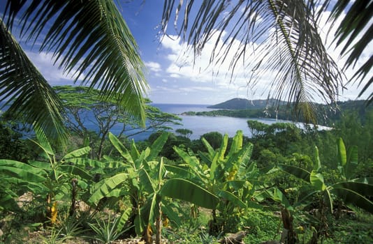 The landscape near Victoria on the island of Mahe of the Seychelles archipelago in the Indian Ocean in Africa.