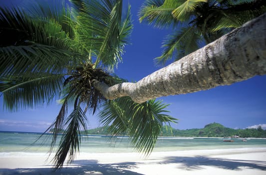A dream beach on the island of Praslin in the Seychelles archipelago in the Indian Ocean in Africa.