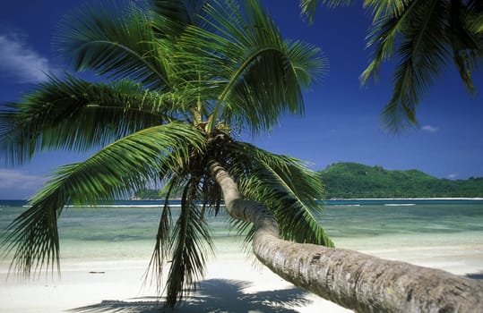 A dream beach on the island of Praslin in the Seychelles archipelago in the Indian Ocean in Africa.