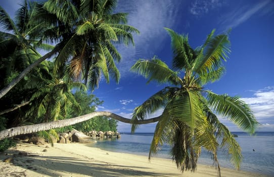A dream beach on the island of La Digue in the Seychelles archipelago in the Indian Ocean in Africa.
